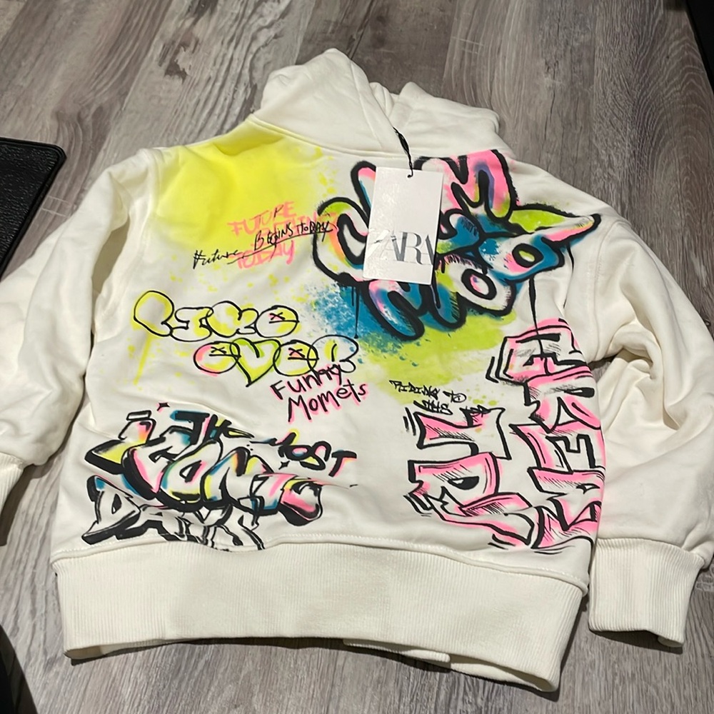 NWT Zara hooded sweatshirt